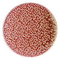 Кругла плоска тарілка 20,3 см "AMOUR"